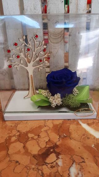 Rosa stabilizzata albero della vita