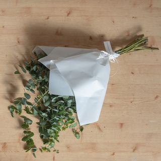 Paquete de Eucalipto