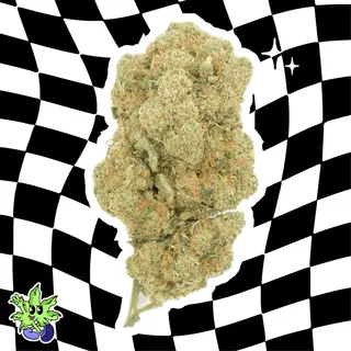 Amnesia - 1G