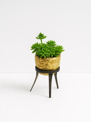 Suculenta artificial (Tripé metálico)