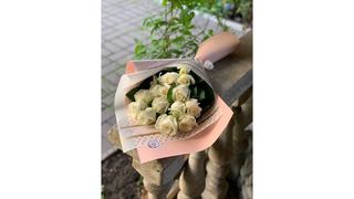 Белый рояль