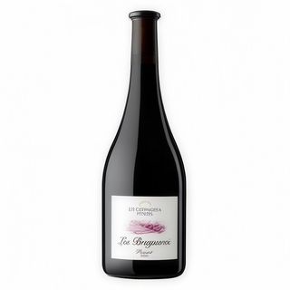 Vino tinto Les Brugueres  Priorat 2020(750 ml.)