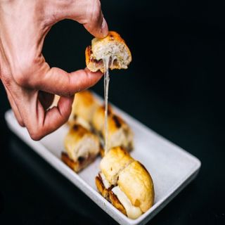 Cachorro à Moda do Norte