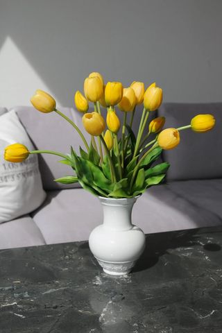 Tulipani žuti