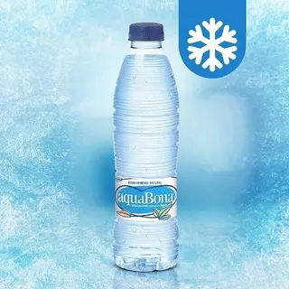 Agua 500ml