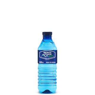 Agua Montepinos (1 Lt.)