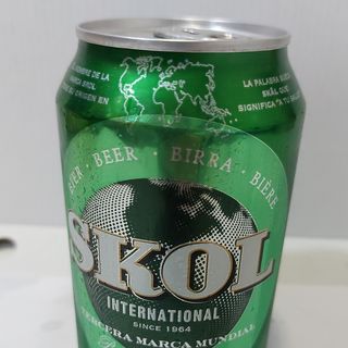 Skol 330ml