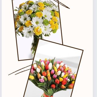 2 in 1 cioè : “due boutique in un regalo “