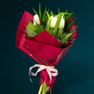Buchet 5 Lalele Albe