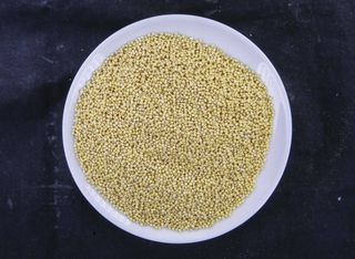 Просо (100гр)