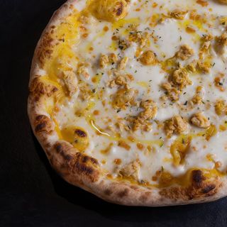 Zucca Gustosa (D)