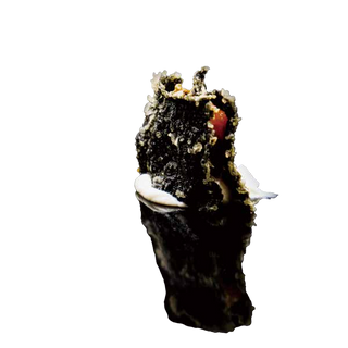 831.Nori croccante tonno