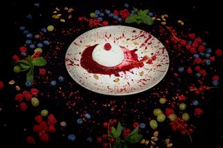 Panna cotta cu iaurt și sos de fructe de pădure