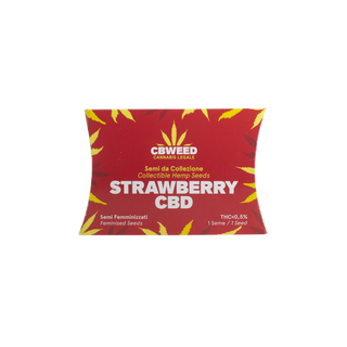 Strawberry CBD - 1 semente