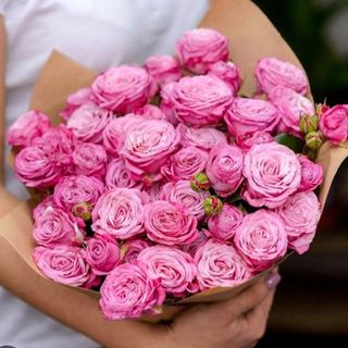 სპრეი ვარდების თაიგული