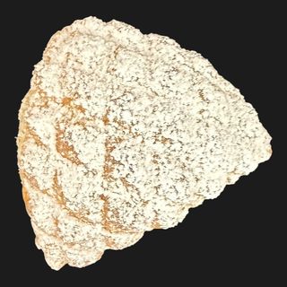 Conchiglia con crema al latte