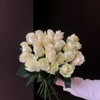 Троянда Mondial, 1 шт