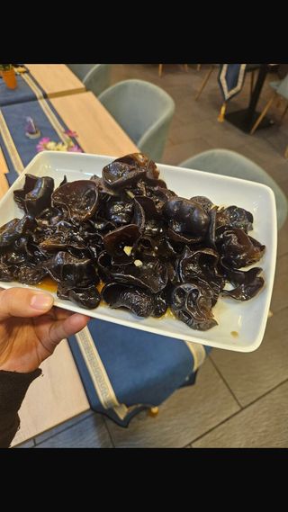 Salata de urechi de lemn