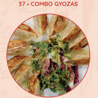37 Combo Gyozas