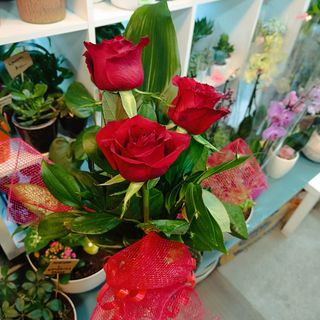 Buketić sa tri ruže