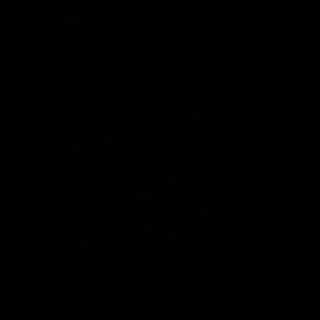 URAMAKI BLACK CALIFORNIA