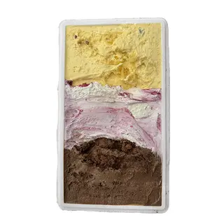 Vaschetta gelato 1 kg
