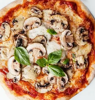 Funghi Porcini