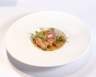 Arugula Taste - 4 pezzi