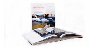 Werte Georgians/Values of georgia
