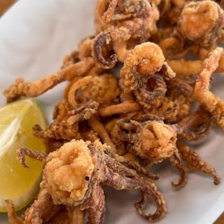 Anillas y rejos de calamar 