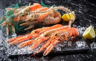 Scampi