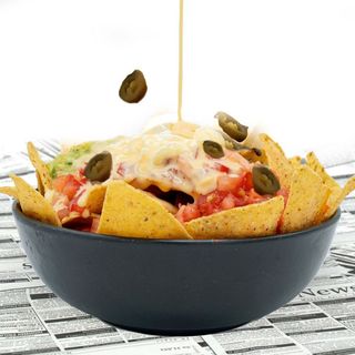 Nachos Terrier