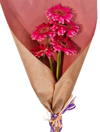 Molho – 5 Gerberas Pink