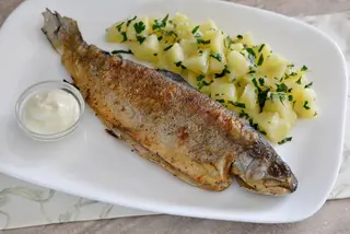 Trota alla griglia