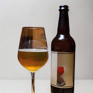 Birra Mangianapoli Pilsner chiara 75 cl