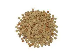 Lenteja Castellana Ecológica (500 Gr Aprox)