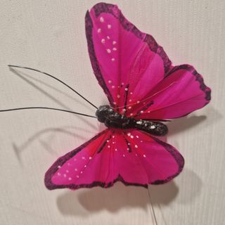 Mariposa color según disponibilidad 