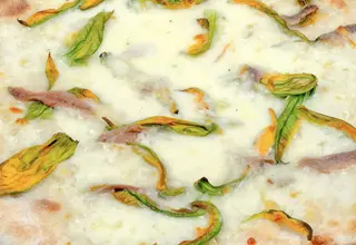 Fiori di zucca