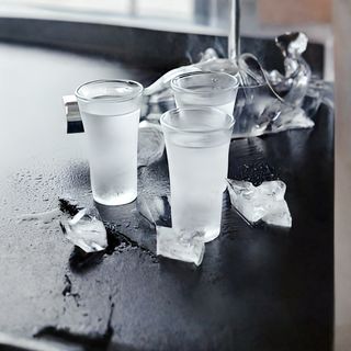 გრეი გუსი 1ლ