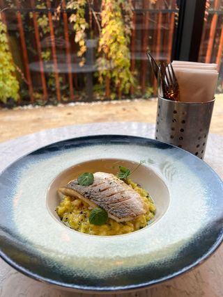 Risotto al branzino