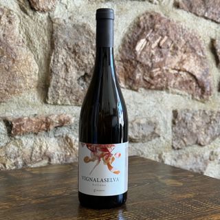 G. iachetti Vigna La Selva-Bellone 75 cl