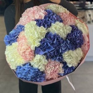 Мікс гортензій