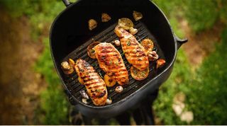 Petto di pollo ai ferri