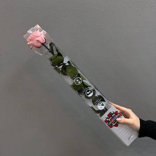 Una rosa larga ( rosa ) preservada  