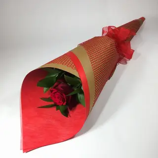 Rosa Roja Unidad