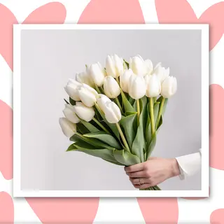 თეთრი ტიტები (30 ცალი)