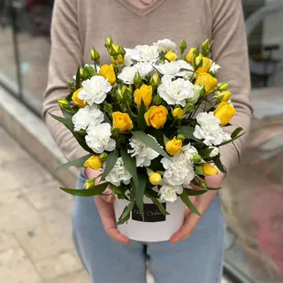 Yellow&White XS box