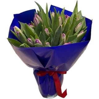 Bukiet tulipanów <<M<<