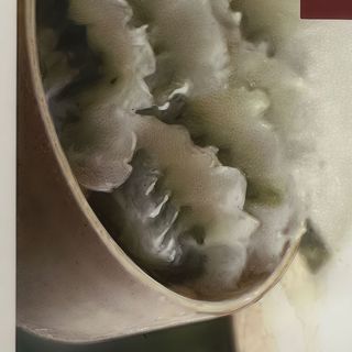 Empanadillas Vegetales Shuijing