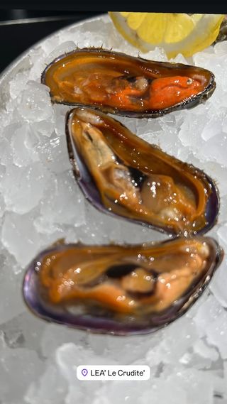 Cozza pelosa  1 pezzo